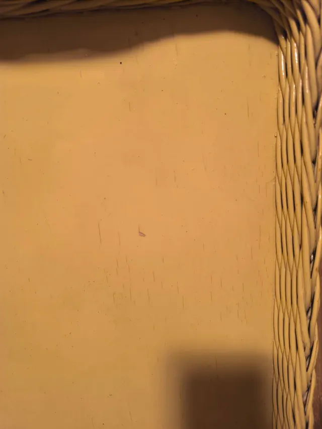 Bandeja de mimbre y madera