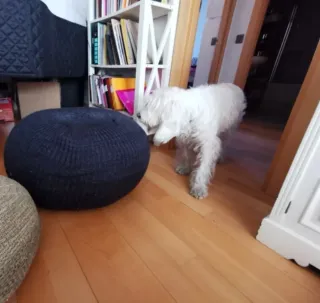 Puf IKEA azul grande