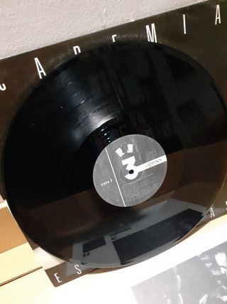 Academia Parabuten Esas Chicas Vinilo