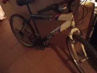 Bicicleta de Montaña