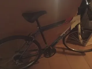 Bicicleta de Montaña