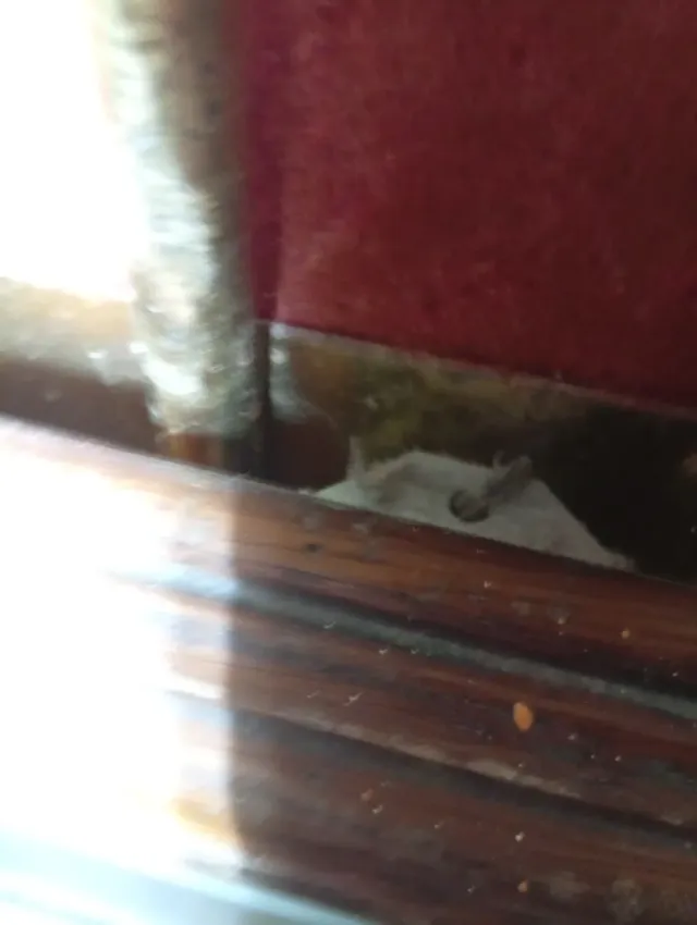 Máquina de dardos electrónica