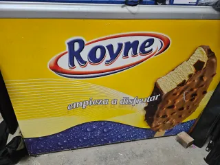 Arcón frigorífico Royne