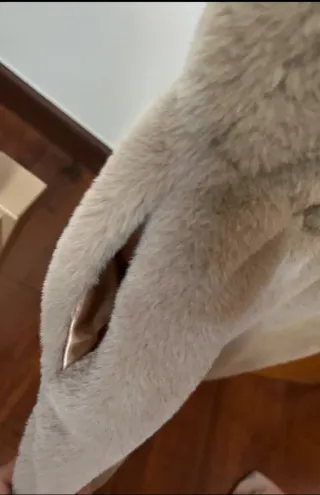 Chaleco peludo Ale Hop beige talla única