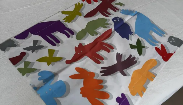 Juego de FUNDA NÓRDICA+FUNDA DE COJIN.