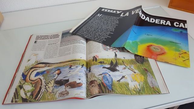 Rivista Muy Interesante Nº 228