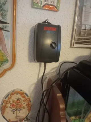 Acquario Nero con Decorazione Verde