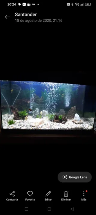 Acquario Nero con Decorazione Verde