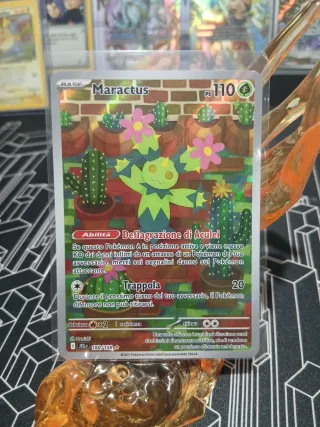 Maractus 160/159