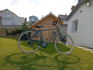 Bicicleta de paseo verde