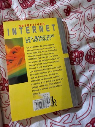 Los Bandidos de Internet (Spanish Edition)