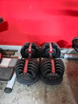 Pesas Bowflex Ajustables