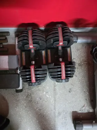 Pesas Bowflex Ajustables
