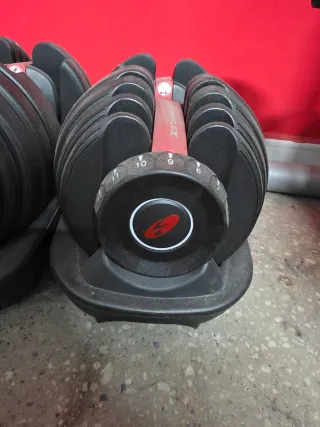 Pesas Bowflex Ajustables