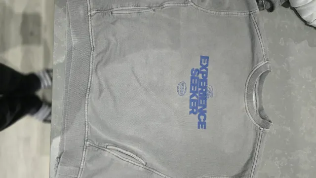 Sudadera gris Experience Seeker