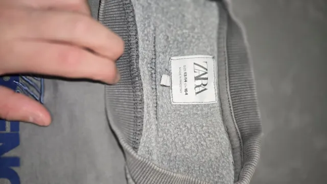 Sudadera gris Experience Seeker