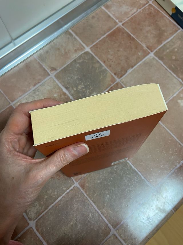 El viaje de Baldassare (2013) (Spanish Edition)