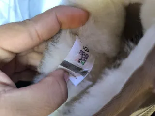 Botas UGG Beige Plataforma