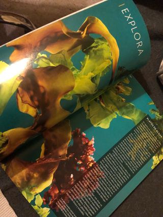 Revista National Geographic