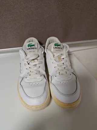 Zapatillas Lacoste Hombre Talla 44