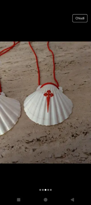 Conchiglie Pellegrino (2 pezzi)