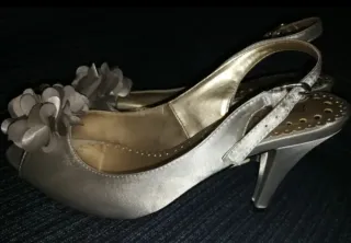 Zapatos .Prestigio ,plateados con flor