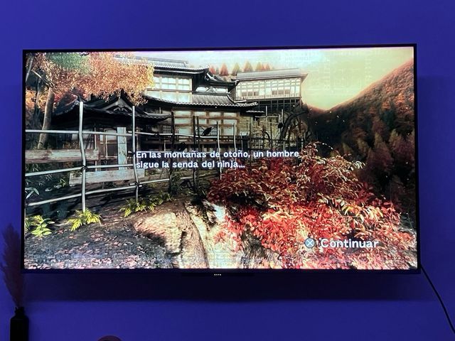 PS4 - Ninja Gaiden Master Collection