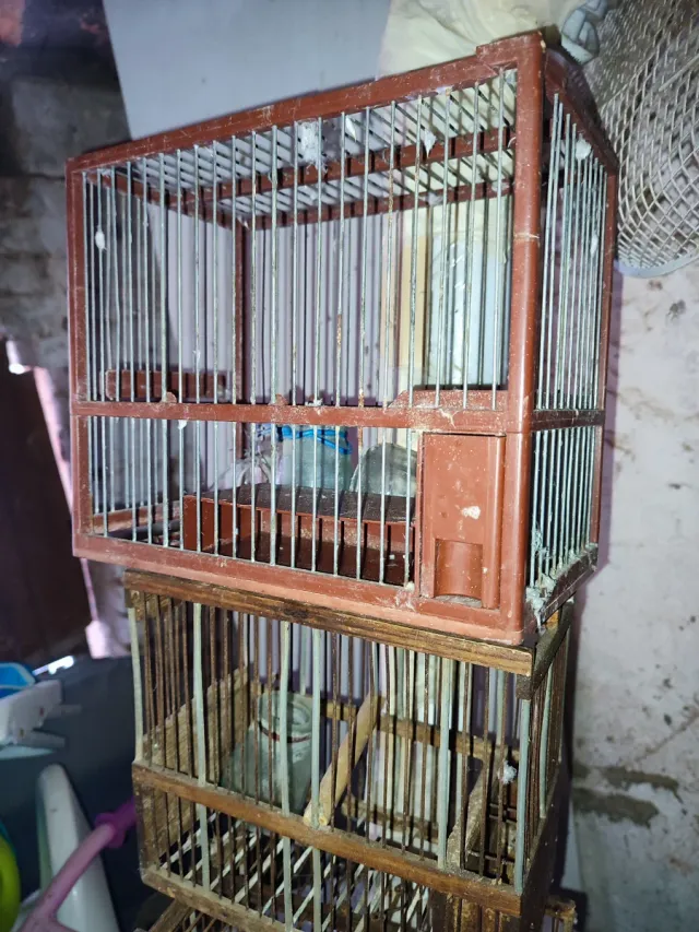 Gabbie per canarini (marrone, trasparente)