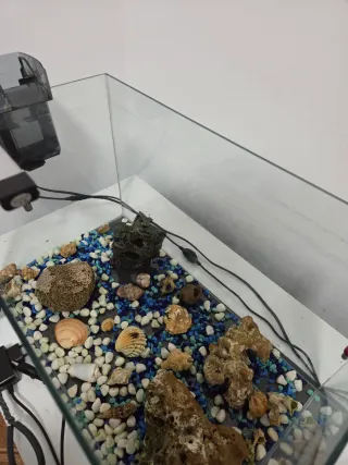 Pecera con accesorios
