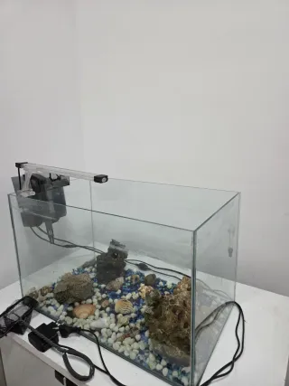 Pecera con accesorios