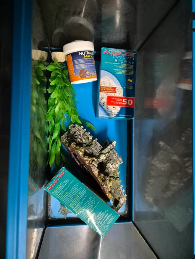 Pecera azul con accesorios