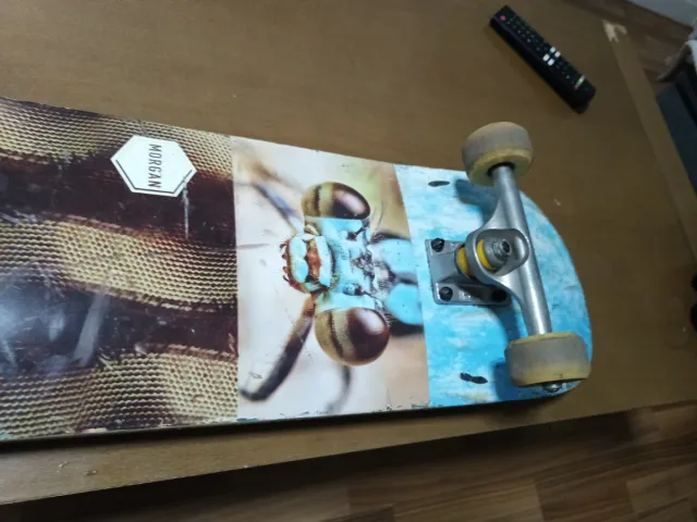 Skateboard blind Morgan/jart/mosaic