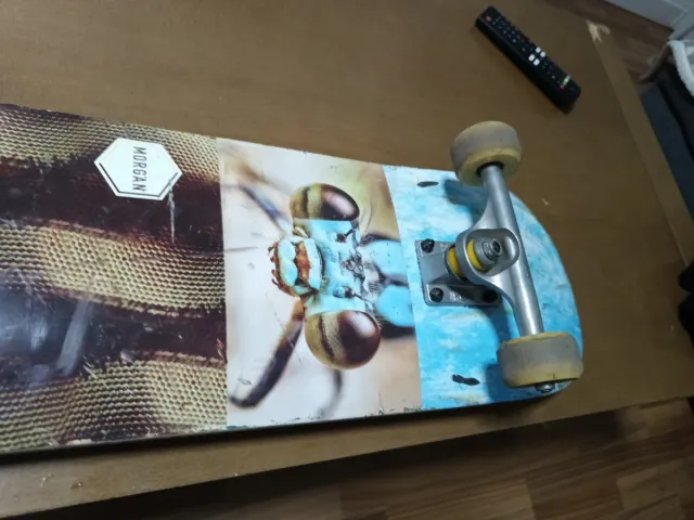 Skateboard blind Morgan/jart/mosaic