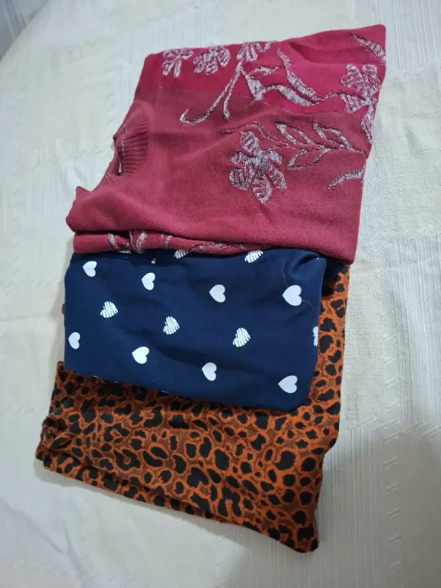 Lote Ropa Invierno Blusas