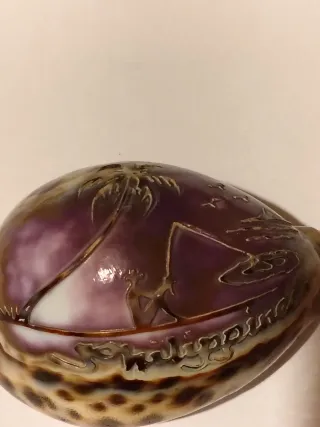 Conchiglia intagliata  Philippines