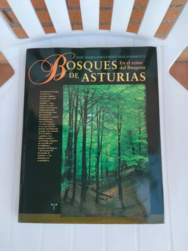 BOSQUES DE ASTURIAS