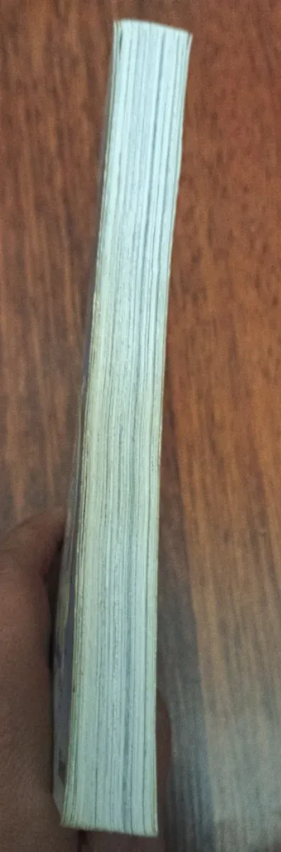 Sailor Moon: Urano y Neptuno