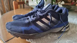 Zapatillas Adidas Azul y Plata