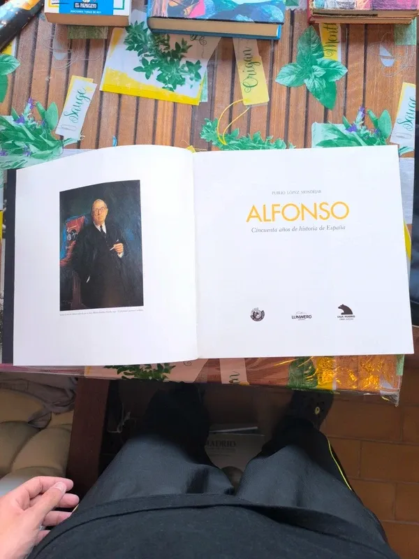 Alfonso