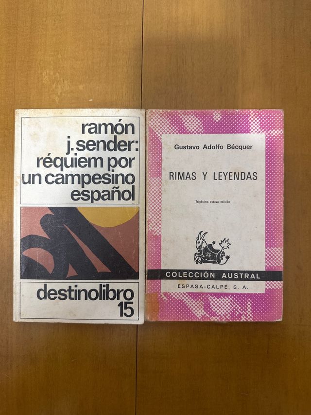 Lote de clásicos de la literatura española