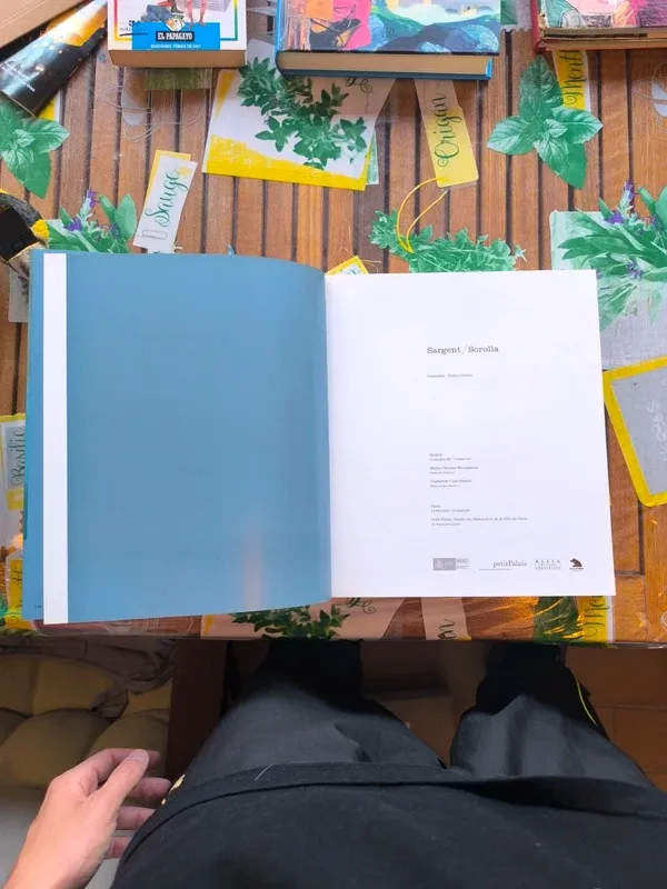 Sargent / Sorolla (Arte y Fotografía) (Spanish ...