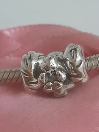 Charm Perro Plata S925.