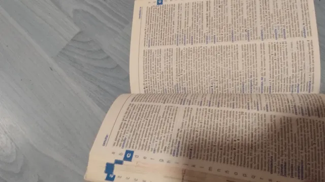 Diccionario didáctico avanzado. Primaria.: Leng...