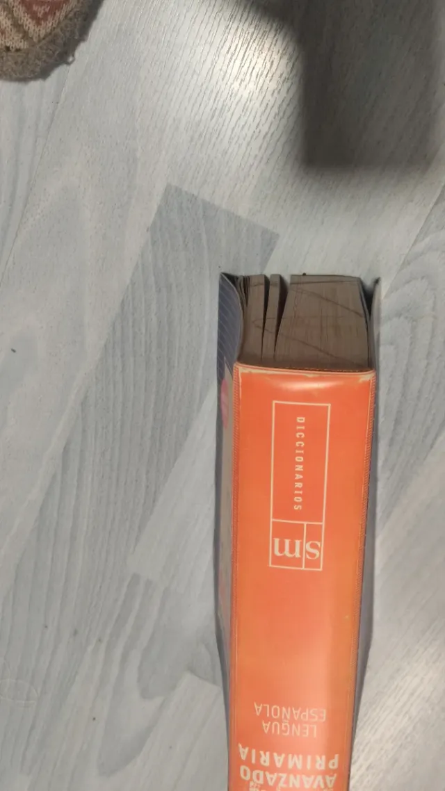 Diccionario didáctico avanzado. Primaria.: Leng...