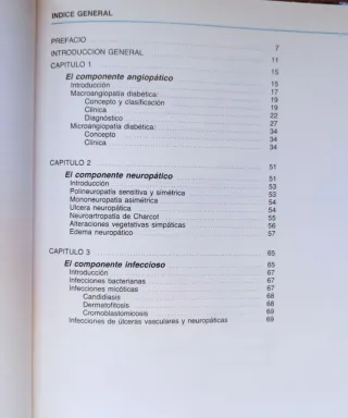 El pie del diabético