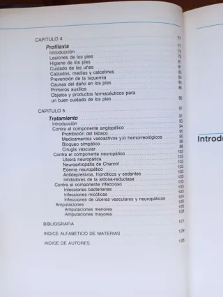 El pie del diabético