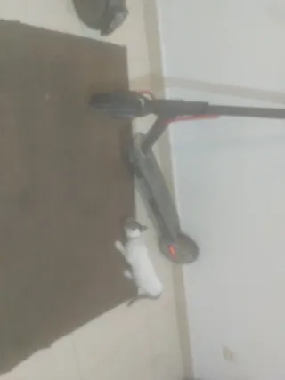 2 Monopattini Elettrici Xiaomi Mi 365