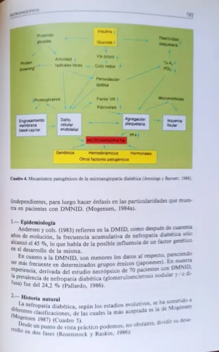 Diabetes Mellitus no insulindependente