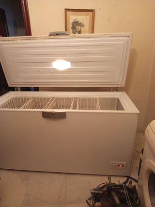 Horno profesional con bandejas