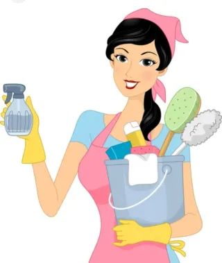 SERVICIO DE LIMPIEZA PROFESIONAL